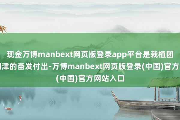 现金万博manbext网页版登录app平台是栽植团队无人问津的奋发付出-万博manbext网页版登录(中国)官方网站入口
